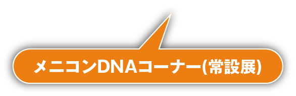メニコンDNAコーナー(常設展)