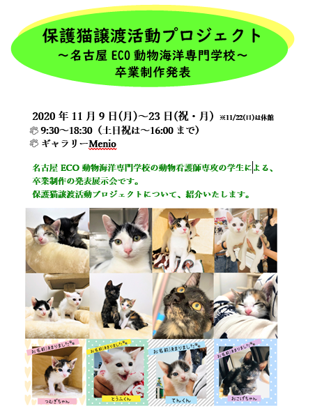 保護猫譲渡活動チラシ.png