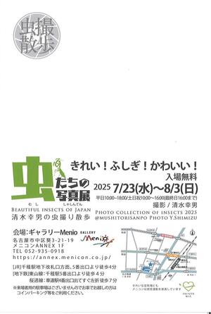 DM裏.jpg